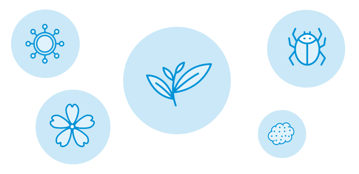 five icons of different things one may be allergic to